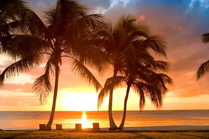 Tortuga Bay Puntacana