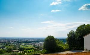 Al Monticello