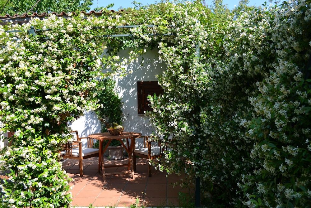 Anita Bed & Breakfast