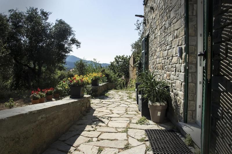 The Garden