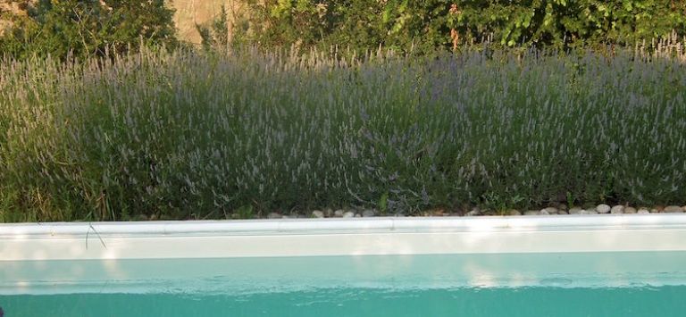 La Casetta Di Lu