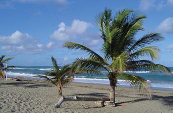 Casa Phönix Annex Isla Verde