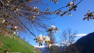 Hotel Am Fels