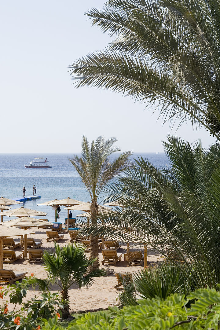 Novotel Sharm el Sheikh Beach Hotel