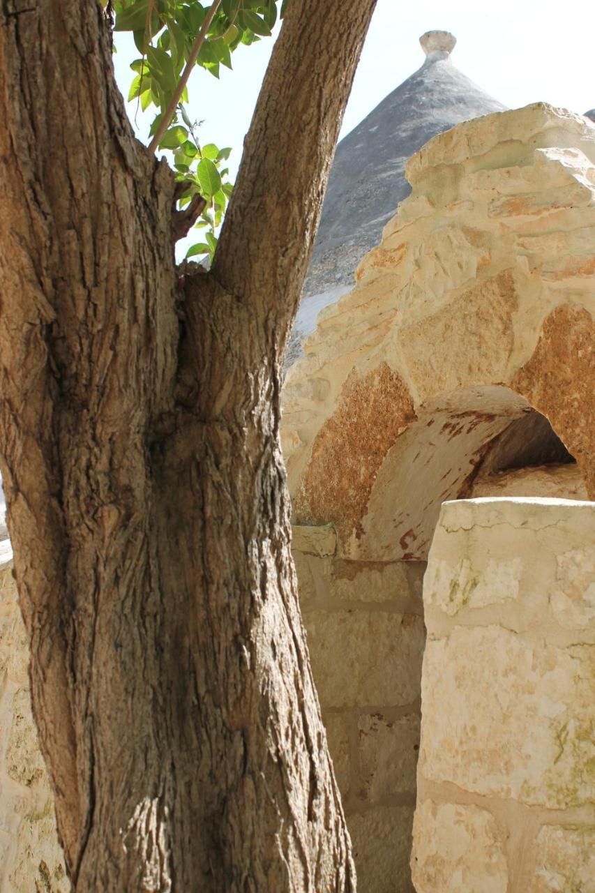Masseria Gianecchia