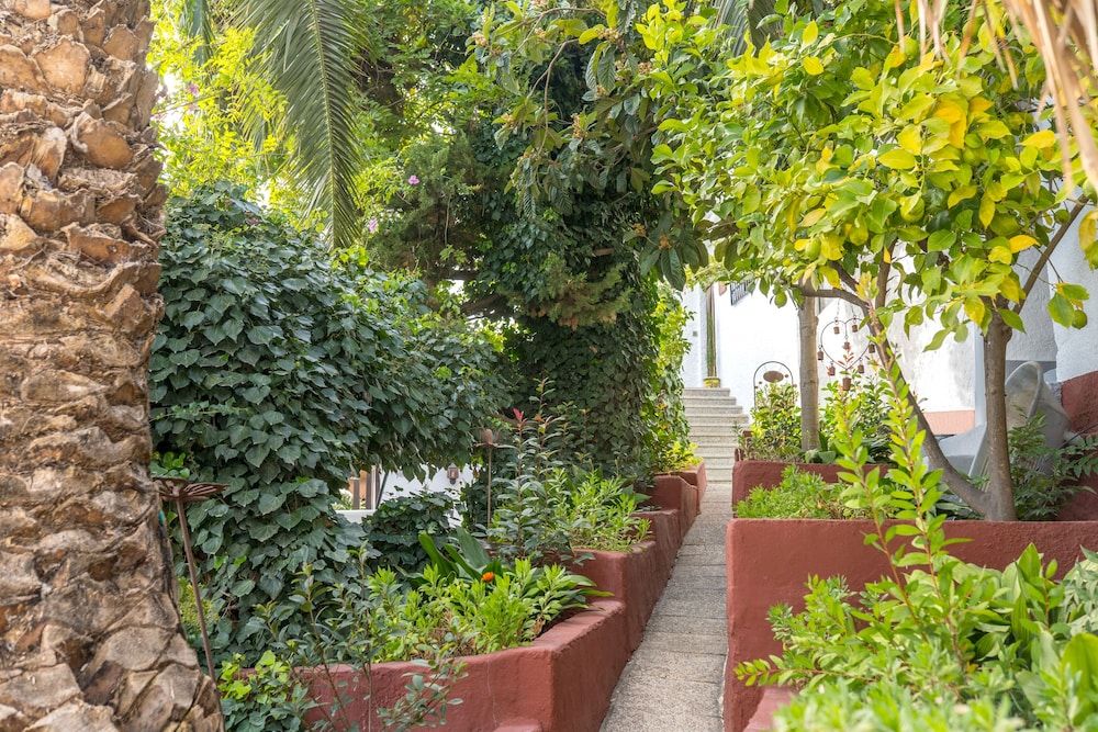 El Valle