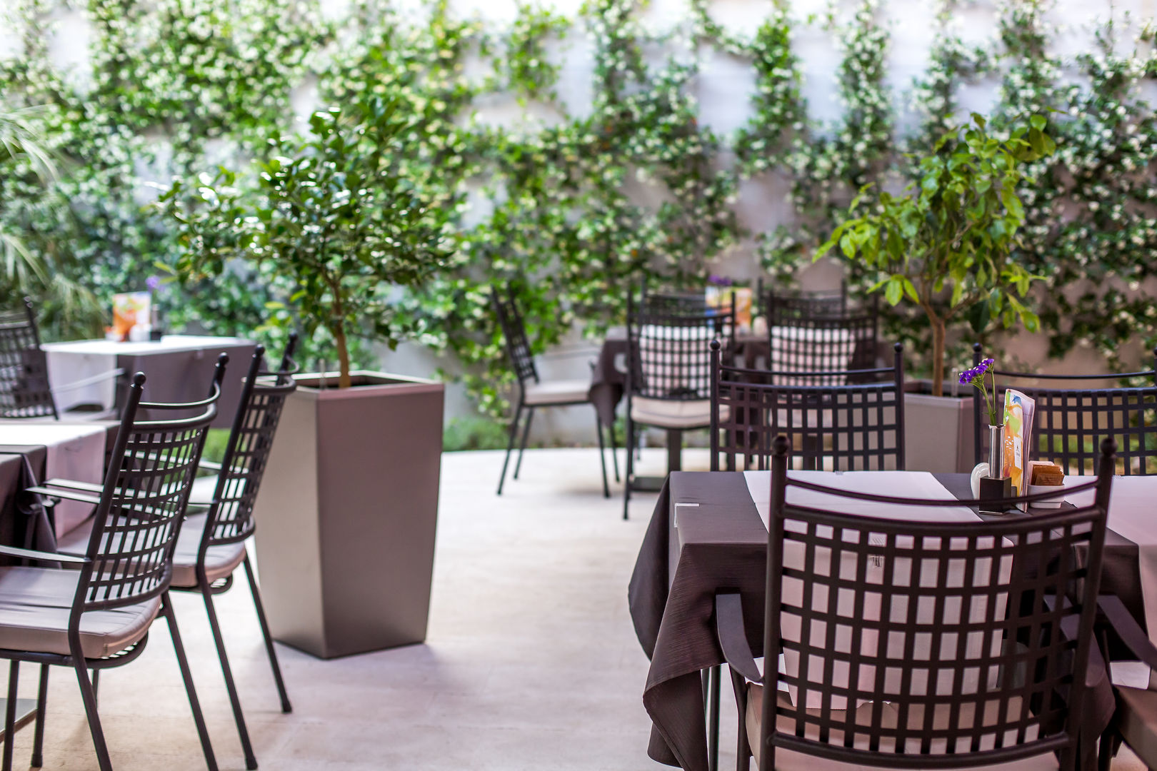 Cornaro Hotel