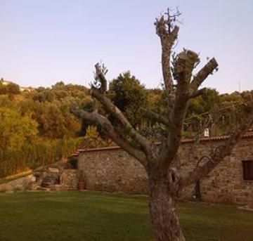 Casale San Pietro