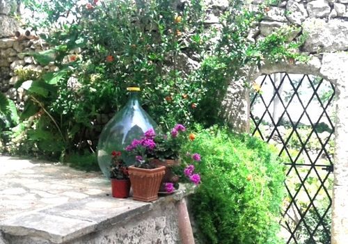 Masseria Delle Rose