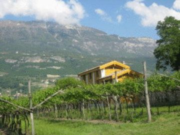B&B Relais Mozart