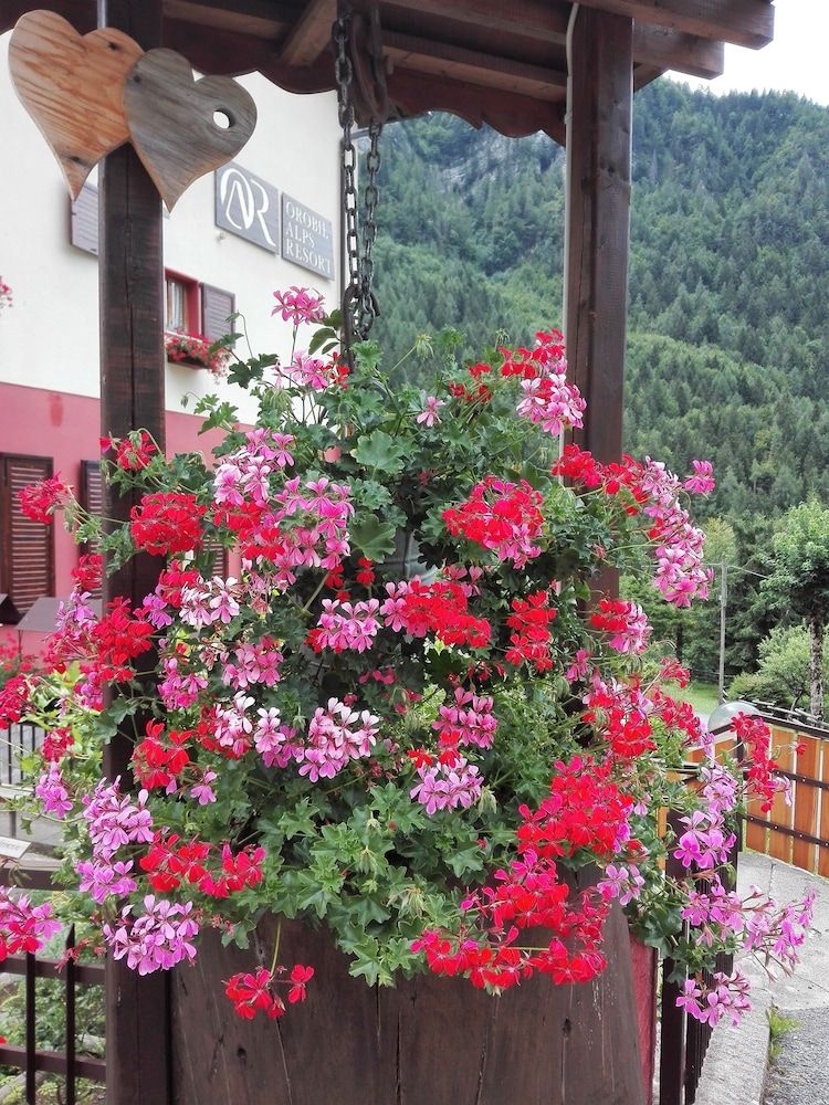 Orobie Alps Resort