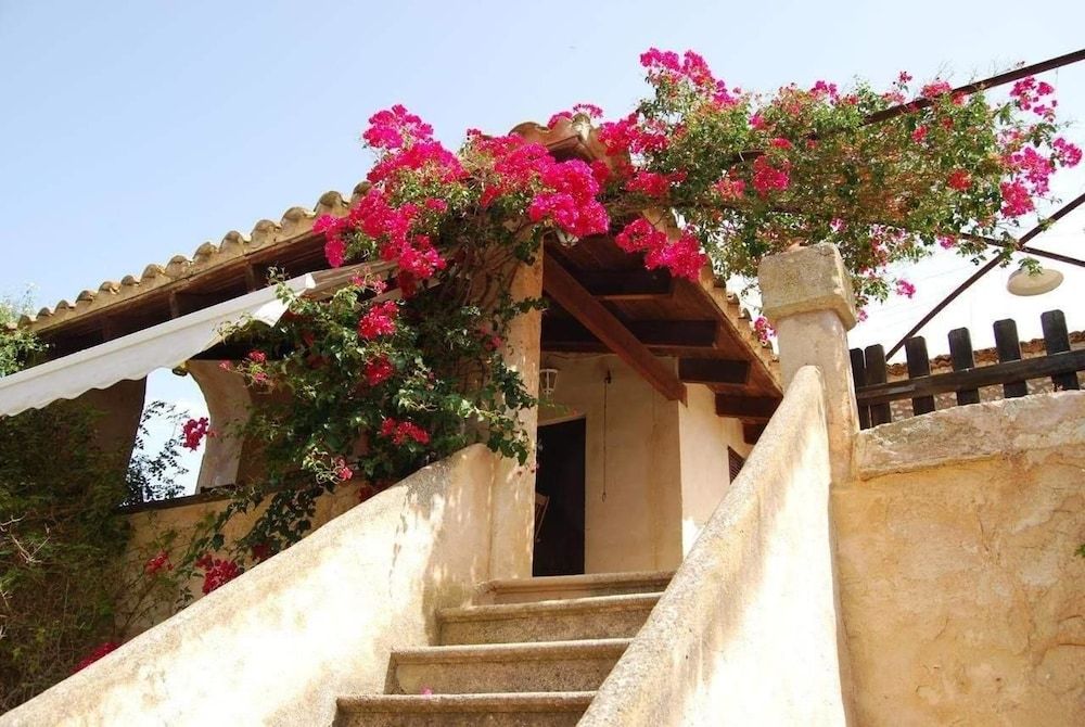 Son Vivot