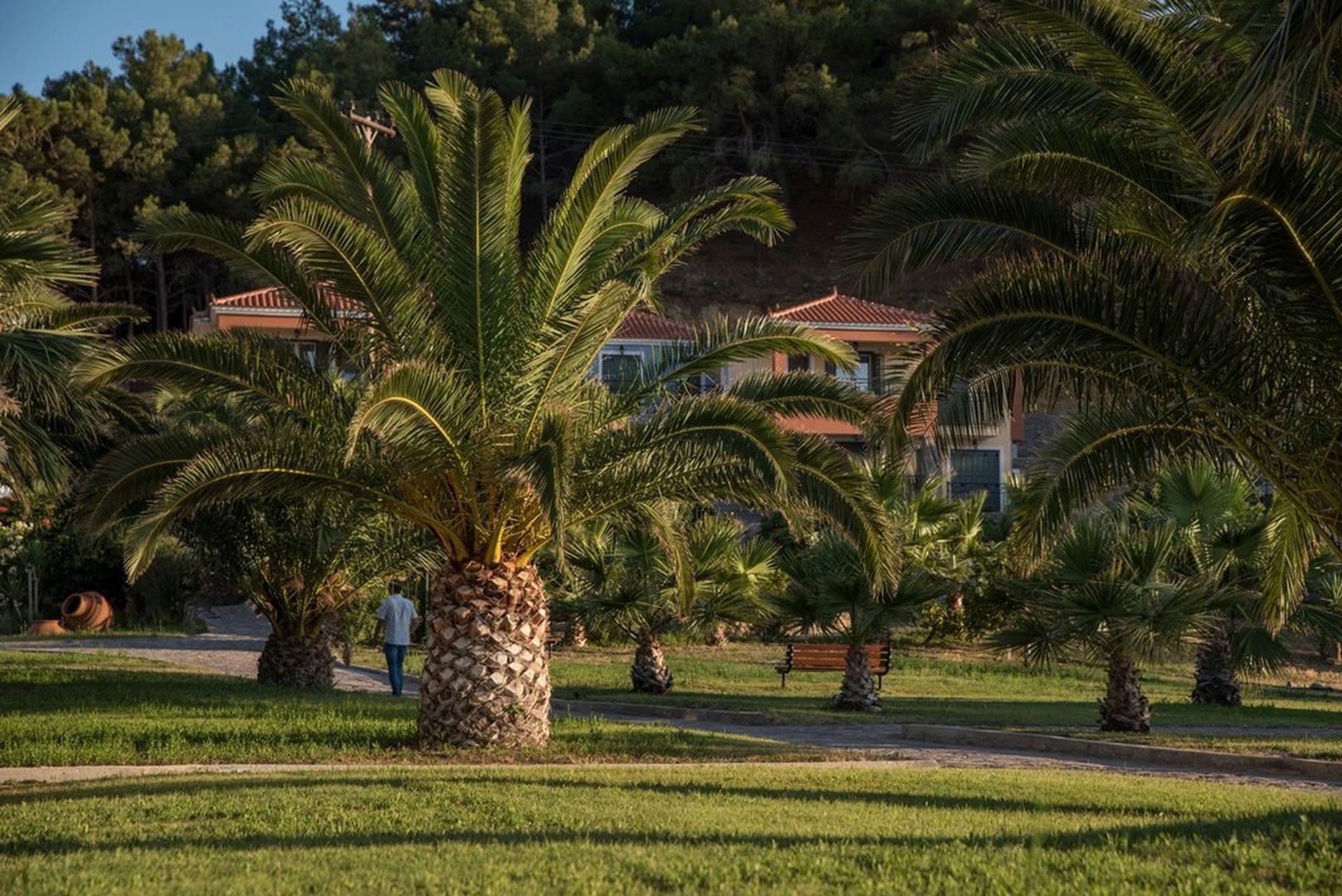 Alma Luxury Resort Hotel