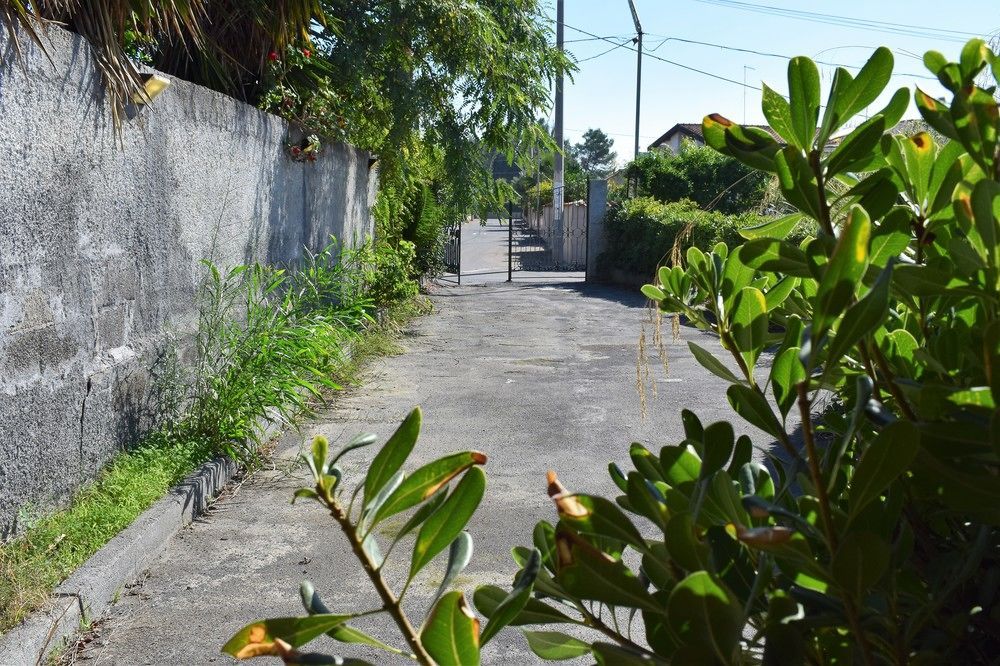Villa Garden
