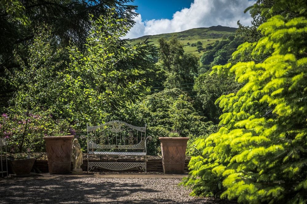 Tir y Coed