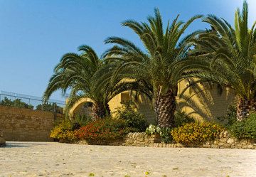 Il Podere