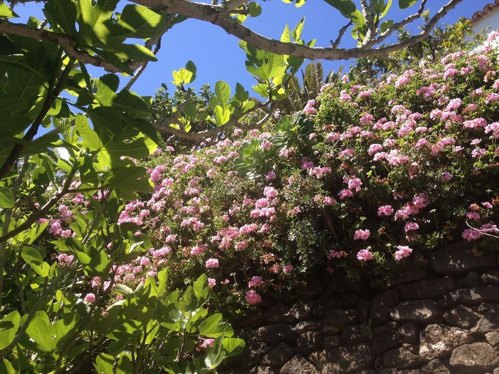 Finca Los Geranios