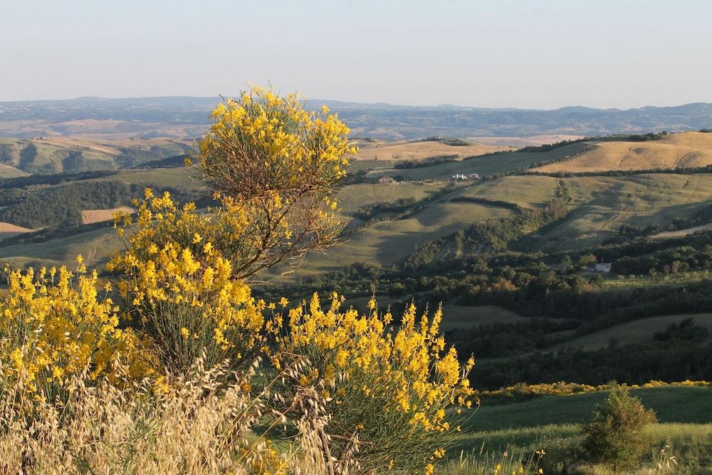 Podere Pietreta