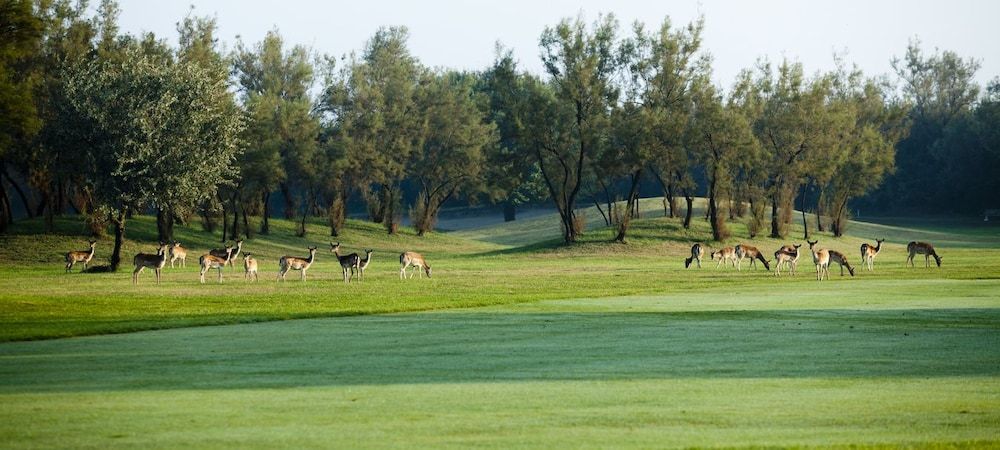 Albarella Golf Hotel