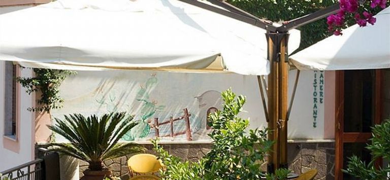 Holidays Fico D'India