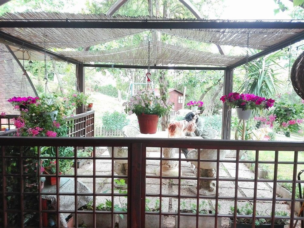 Le Acacie Felici B&B