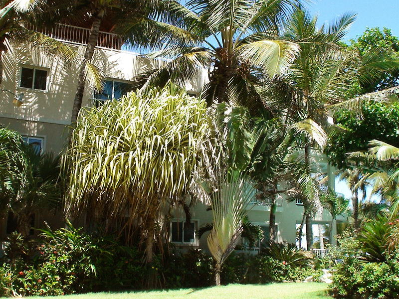 Agualina Kite Resort