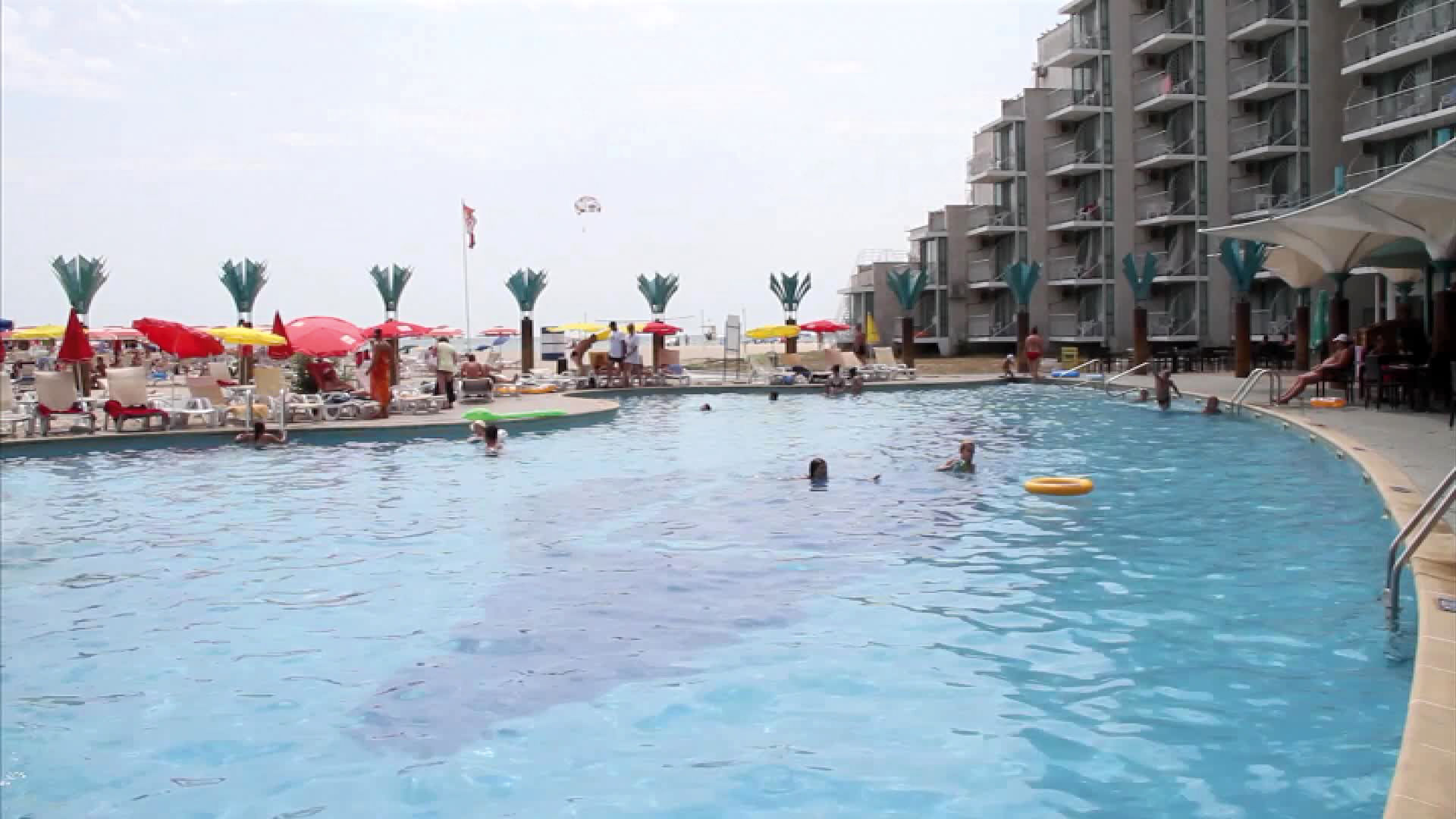 Borjana