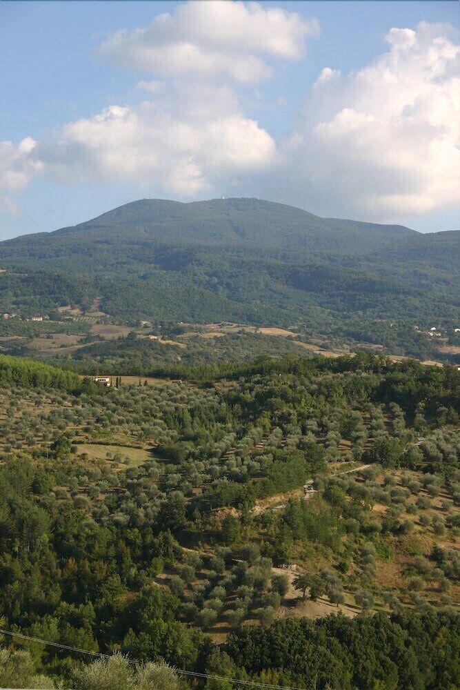 Terre D'Orcia Hotel