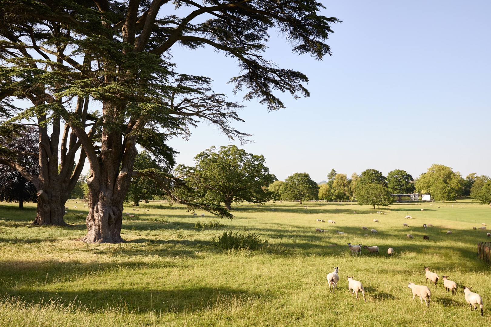 Dumbleton Hall