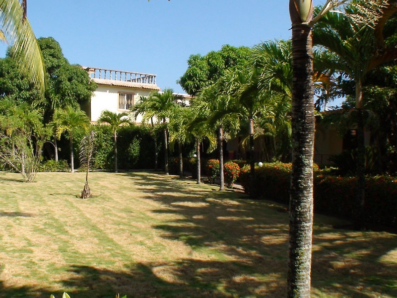 El Colibri