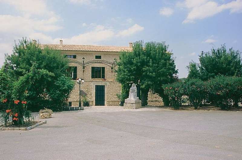 Es Figueral Nou