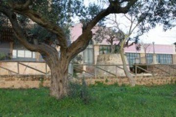 Tenuta Volpara