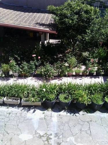 B&B Le Pavoncelle