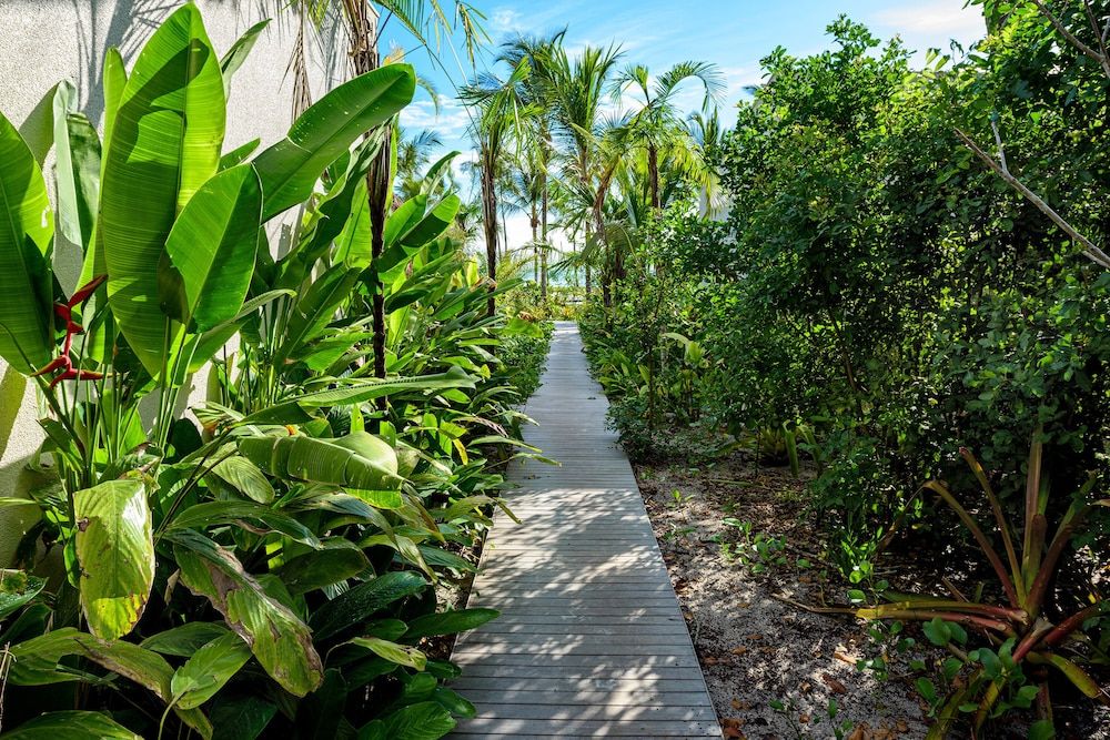 Fasano Trancoso