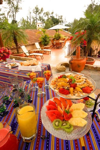 Posada De Los Leones-Lions Inn
