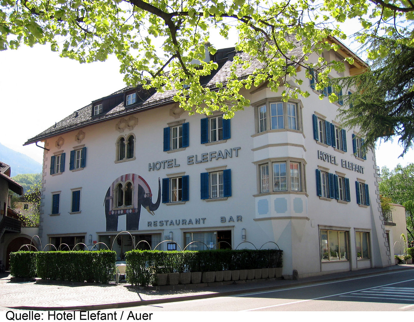 Hotel Elefant