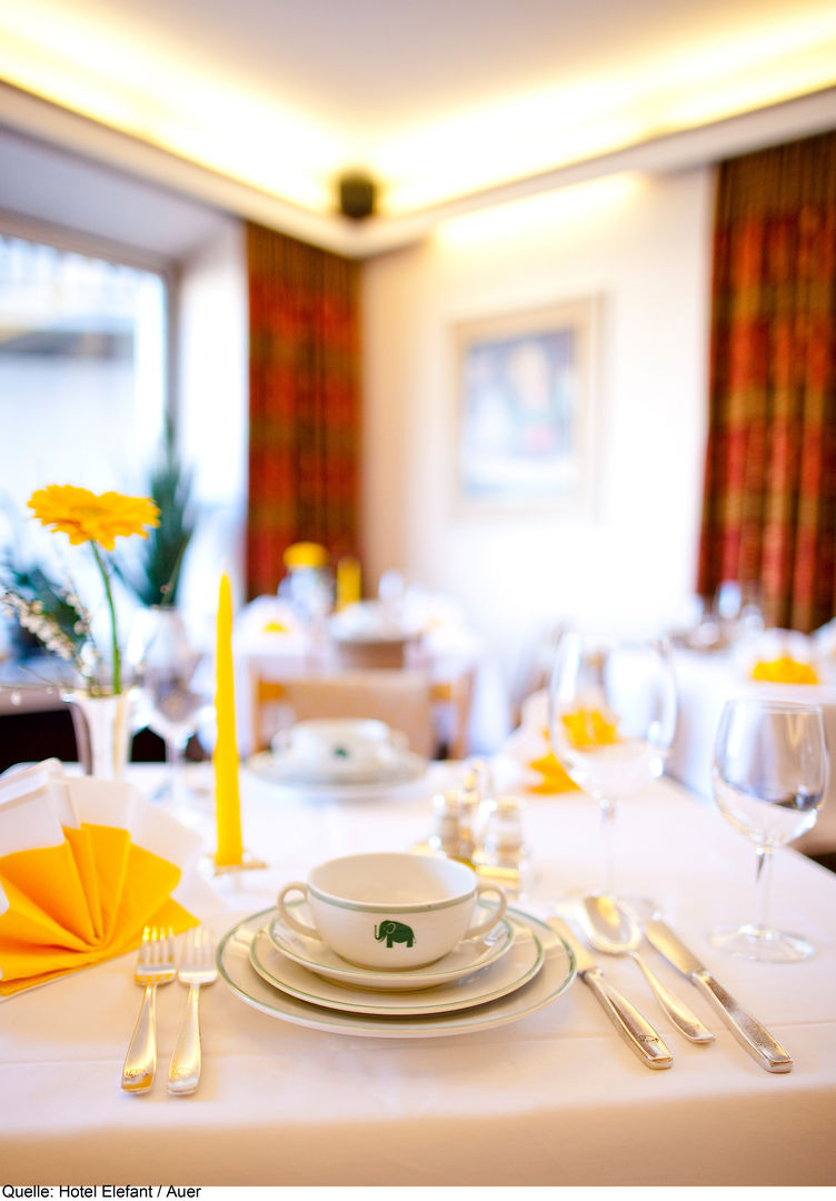 Hotel Elefant