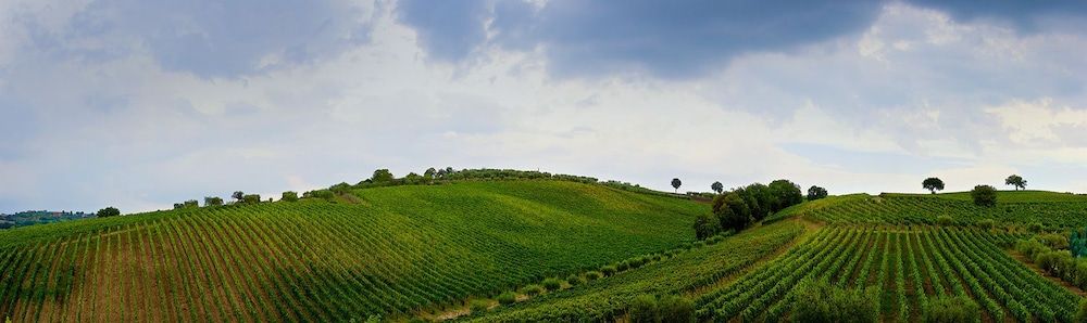 Radici Resort