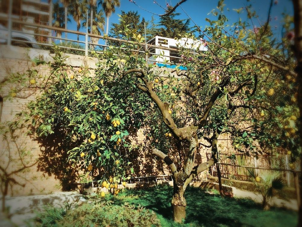Aloha House