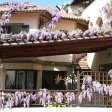 Hotel Galli