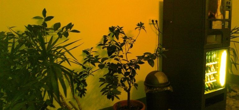 B&B Baiamonti