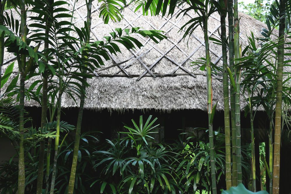 Reddoor Bali