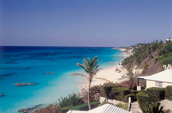 Azura Bermuda
