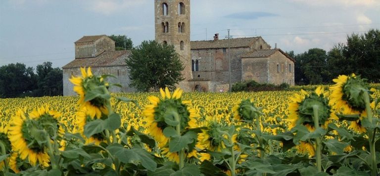 Il Castello di Sovicille