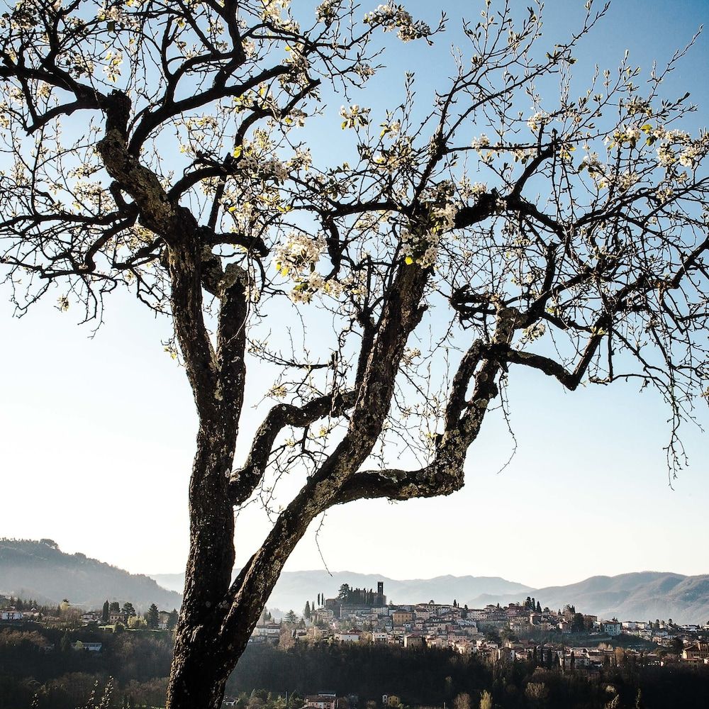 Il Ciocco Hotels