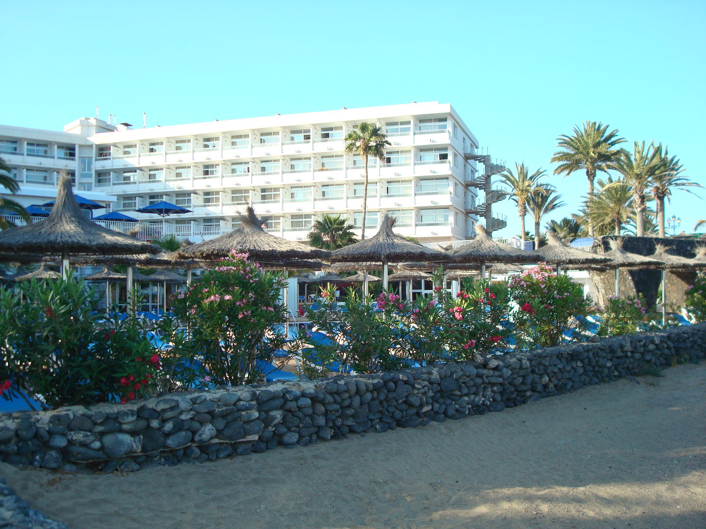 VIK Hotel San Antonio