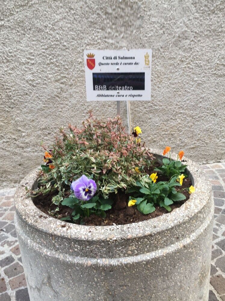 B&B del Teatro