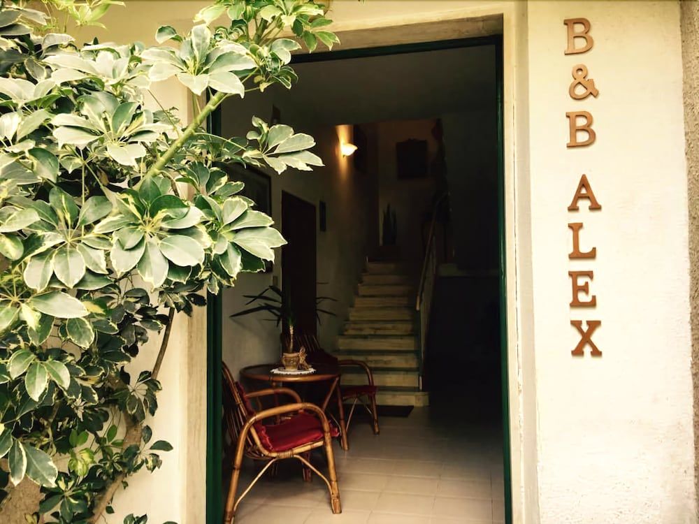 B&B Alex