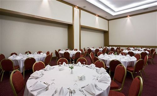 Anemon Malatya