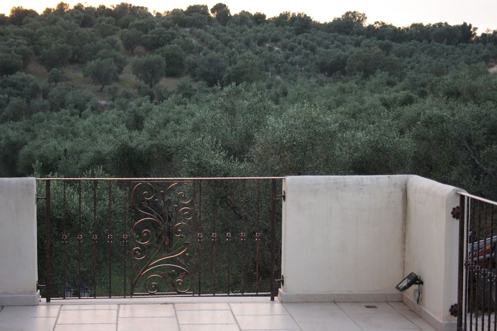 Torre Bruno